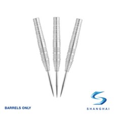 Shanghai Eliptical X8